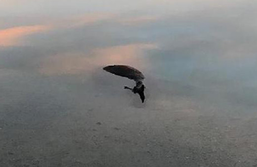  Gölcük Gölü'nde at ölüsü bulundu