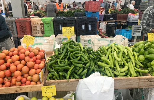 Halk ekmek gibi halk sebze geliyor! Cumhurbaşkanı Erdoğan açıkladı