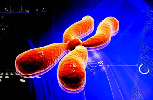 Genom nedir ve genlerimiz ne işe yarar?