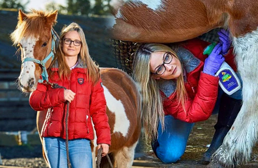 Dünyanın en kötü işine sahip! Her gün at penisi temizliyor