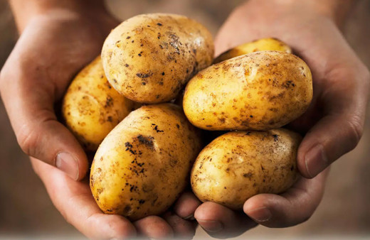 Patates yiyerek zayıflamak mümkün! İşte haşlanmış patates diyeti