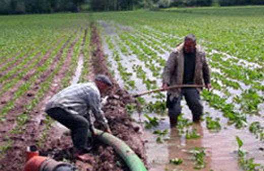 Çiftçilere bu yıl destek yağacak
