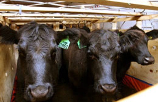 Çiftçiyi sevindirecek karar!