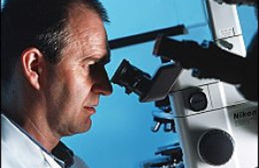 Google'dan BMW'ye heryerde Türk var