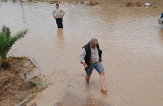 Milas'ta sağanak hayatı felç etti