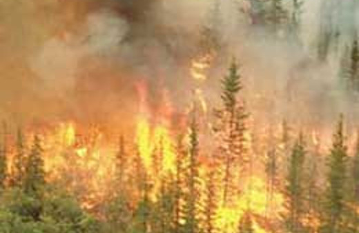 Bir yangında Harmancık'ta çıktı