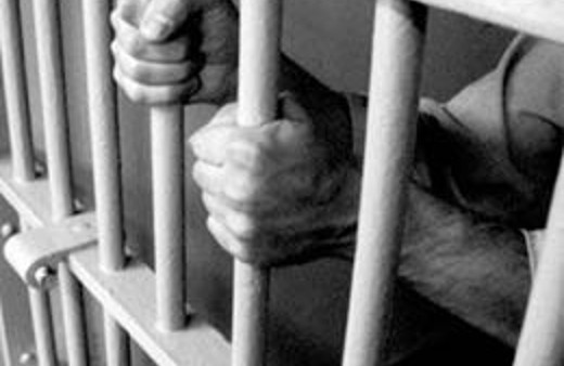 Vejetaryan mahkuma özel yemek