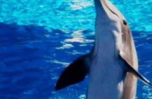 Yunus eşliğinde doğum!