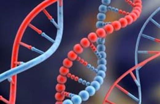 Bilimadamları öyle bir şey yaptı ki...