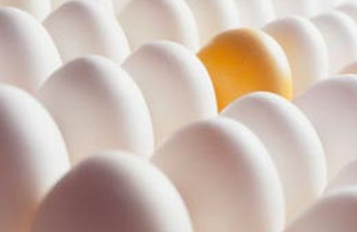 Başkan'a yumurtalı saldırı