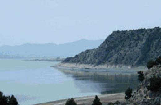 Ne kadar kirli dedi, suya atladı