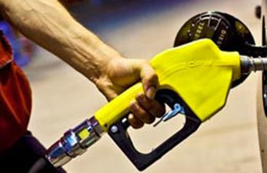 Benzinin yerini alacak mucize bitki!