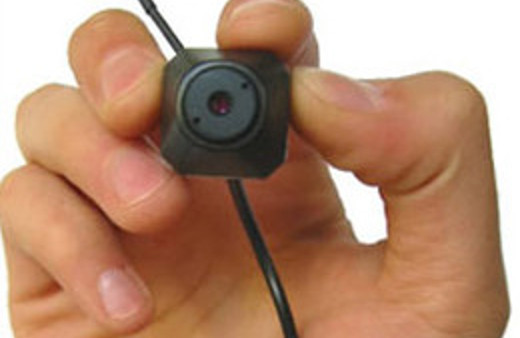 Böcek operasyonunda yeni gelişme 