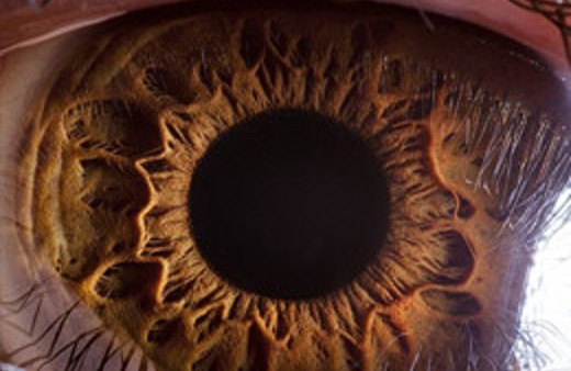 Aileler bu habere dikkat