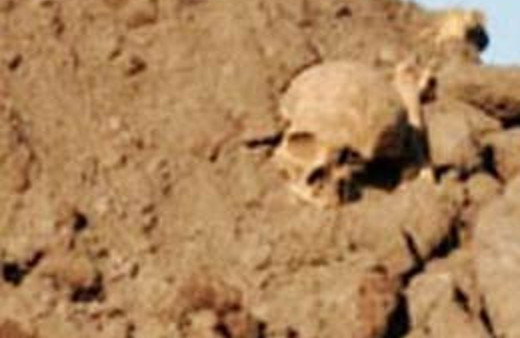 Harfiyatın arasından kafatası çıktı!