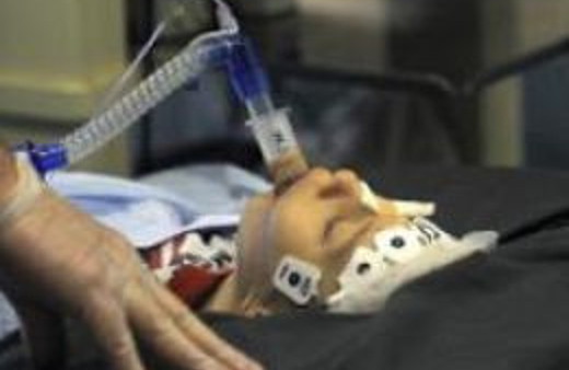 Bu vahşetin merkez üssü Türkiye!