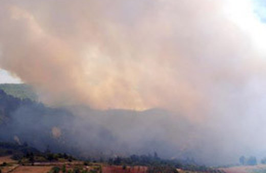 Bodrum'daki yangın kontrol altında!