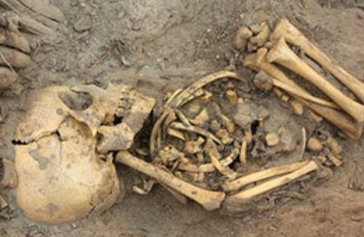 Mezardan çıkanlar dehşeti düşürdü