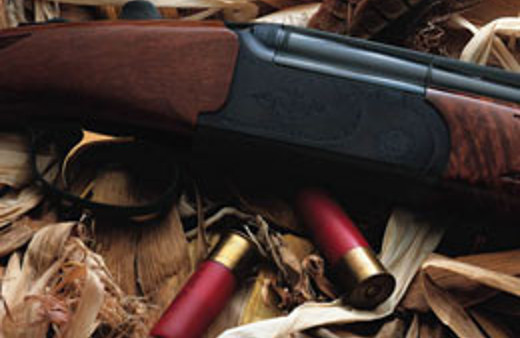 Yok böyle bir ölüm!..