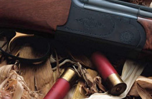 Üvey kızını sırtından vurdu