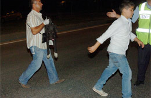 Çocuktan öğren hayvan sevgisini