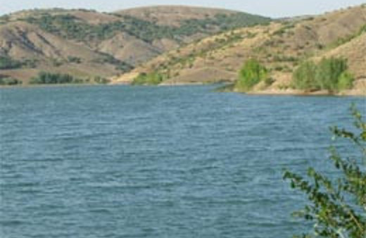 Gölette şoke eden manzara