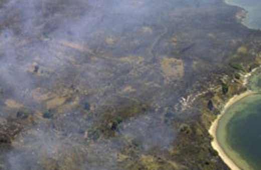 İşletmecilere rekor ceza uygulaması