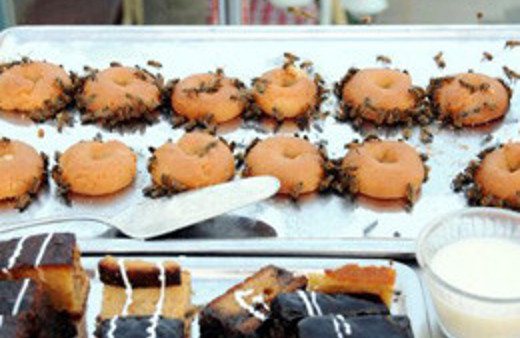 Turistik otel arıların istilasına uğradı