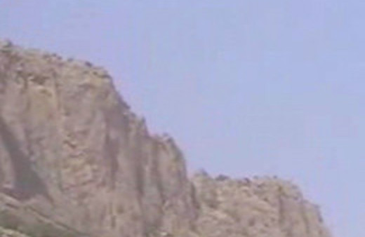 Böyle kavga mı olur?