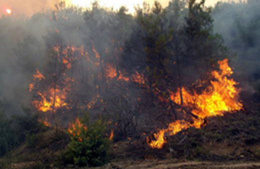 Gülnar'da orman yangını!