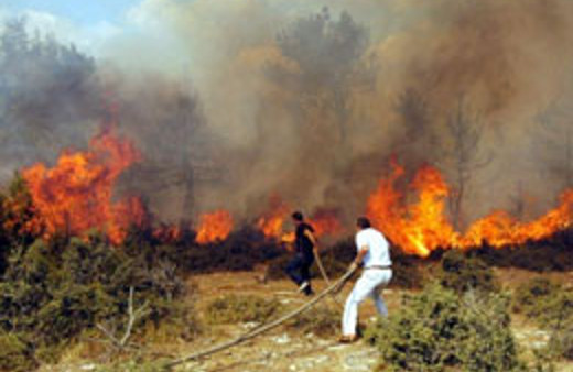 Bu illerde orman yangınlarına dikkat