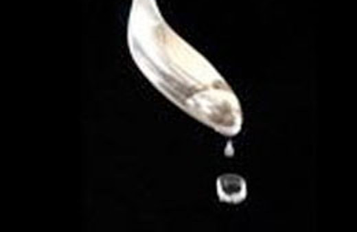 Bir damlası altın değerinde!