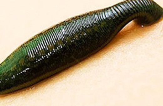 Boğazında 5 gün sülükle gezdi