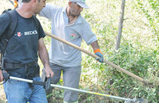 Arkadaşının kafasını hızarla kesti!