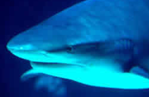 Teyzelerden gülme garantili anılar!