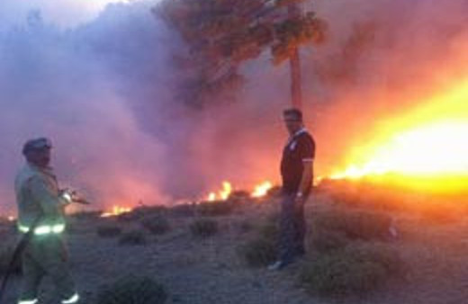 Kaz Dağları'ndaki yangına karadan müdahale