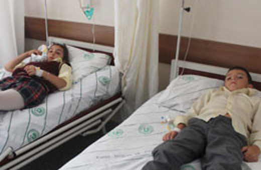 Okulu basan arılar 12 çocuğu hastanelik etti