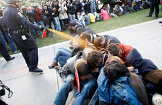 Bu gazı yiyene 1 milyon dolar!