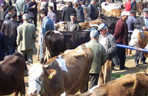 Kurbanlık alacaklar dikkat!