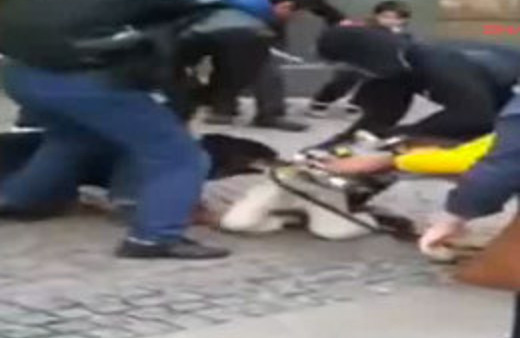 Köpek küçük çocuğa böyle saldırdı