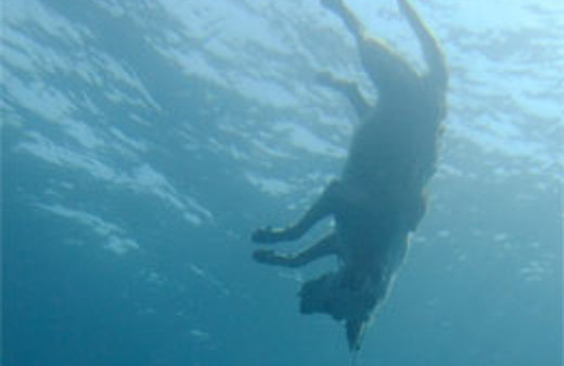 Denizde şoke eden görüntü