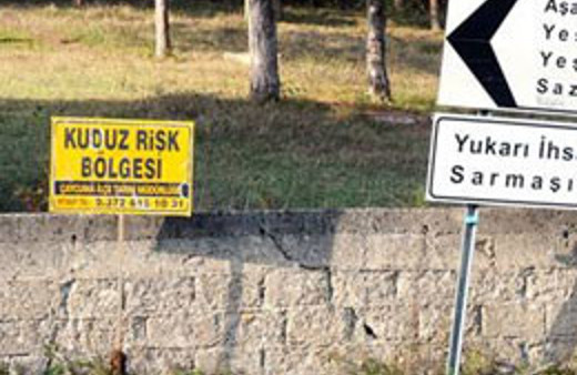 4 köye kuduz karantinası