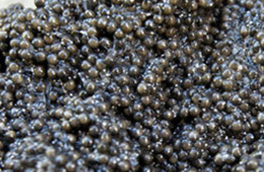 Sosyetenin isteği gümrüğe takıldı!