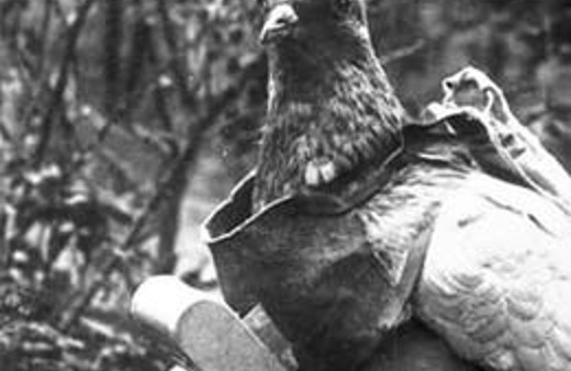 68 yıllık esrarengiz mesaj