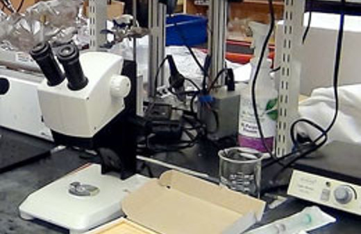 MS hastalığında mucize tedavi