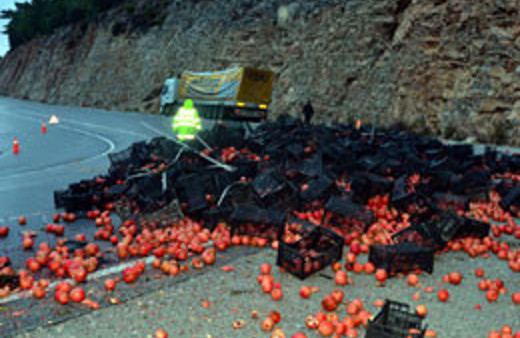 Yol nar bahçesine döndü