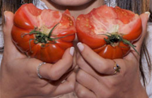 Türkiye dünyaya domates sattı!