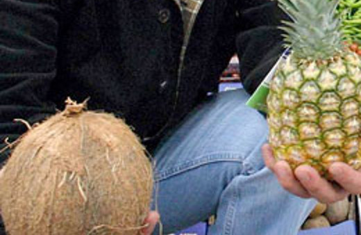 Tadı Hindistan cevizi tipi ananas