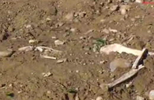 Çanakkale şehitleri yeniden defnedildi