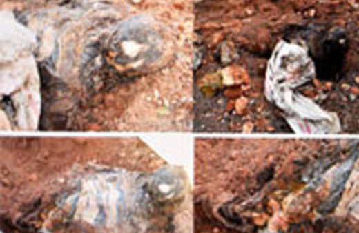 Cürümüş ceset görenleri dehşete düşürdü